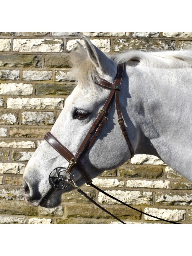 BR104 Madrid Bridle with Reins - Available in Cob or Full - Black or Havana, Pick'n'Mix